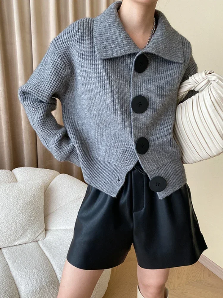 Pavette | Women’s Oversized Knit Cardigan